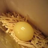 Golden Egg