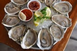 oyster