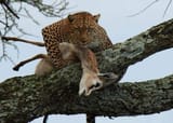 IMG_20241208_005443
