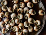escargot-with-garlic-parsley-butter