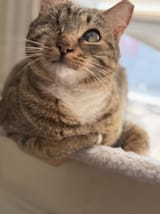 IMG_2064