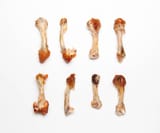 gnawed-chicken-bones-picture-id473169662-4213454432