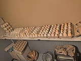 IMG_20241220_185916034_HDR