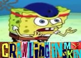 10404505_394926947346393_7829788178020010585_n