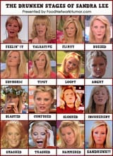 sandra-lee-drunk-stages