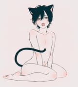 87695364