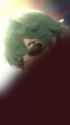 ssstwitter.com_1732788886663 2_thumb.jpg