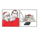 certo cattus by 9179797776_may
