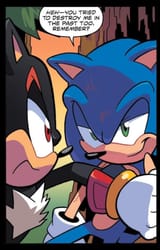 sonic the whorehog