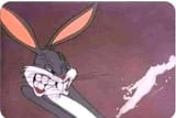 bugs