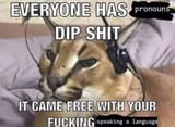 EVERYONE HAS pronouns DIP SHIT