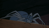 charlottes-web