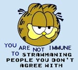 You&#039;re not immune to strawmaning people you don&#039;t agree with