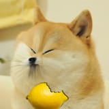 1572222917021