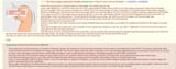 4chan compression