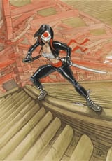 Katana roof