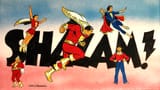 Marvel Family