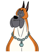 rocco2