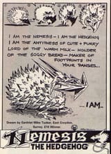 nemesis the hedgehog (oc DO NOT STEAL)