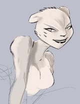 Cheetah 