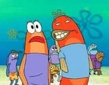 barnacles