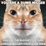 1586034228178