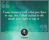 i-may-disagree-with-what-you-have-to-say-but-i-quote-by-voltaire_7