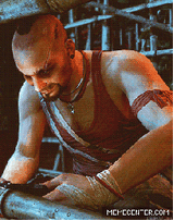 Vaas post