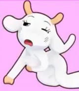 charlottegoat