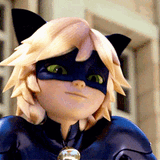 cat-noir