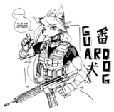 loona gun