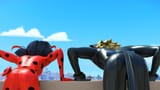 Cat_and_Ladybug08