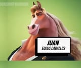 zootopia juan