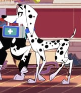 Delilah the Dalmatian