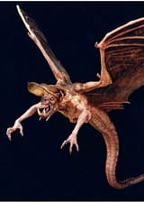 actor-probe-bat-681883_large