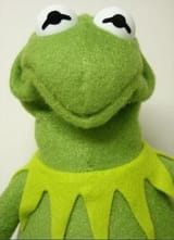 kermit