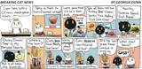 2025-06-15 BreakingCatNews