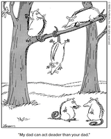 2025-06-15 FarSide