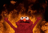 giphy (5)