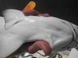 lemon shark navel