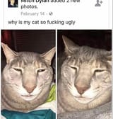 1743422790494134