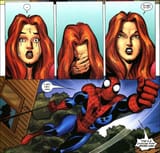 spider-dad