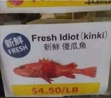 1750055395059949 IMG_7886