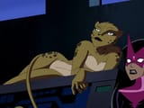cheetah2