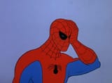Spider facepalm
