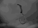 nooseswing