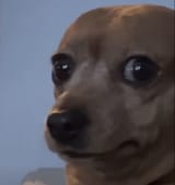 Im scared