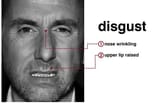 disgust