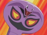 arbok
