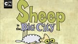 sheep_in_the_big_city
